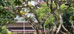 Blk 404 Woodlands Street 41 (Woodlands), HDB Jumbo #513930361